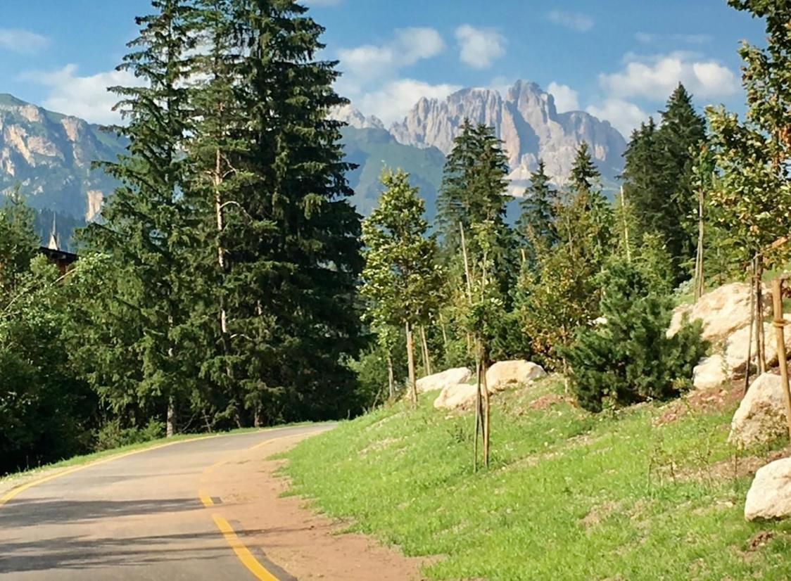Garni Villa Elsa Pozza di Fassa Kültér fotó